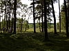DSCN5874.jpg DSCN5874.jpg